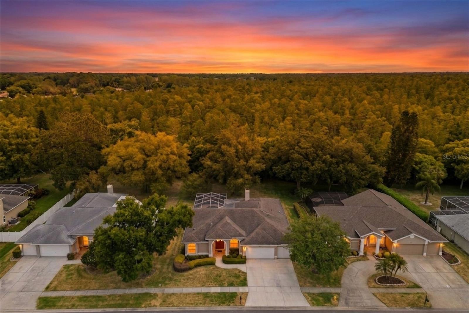 Details for 18543 Bittern Avenue, LUTZ, FL 33558