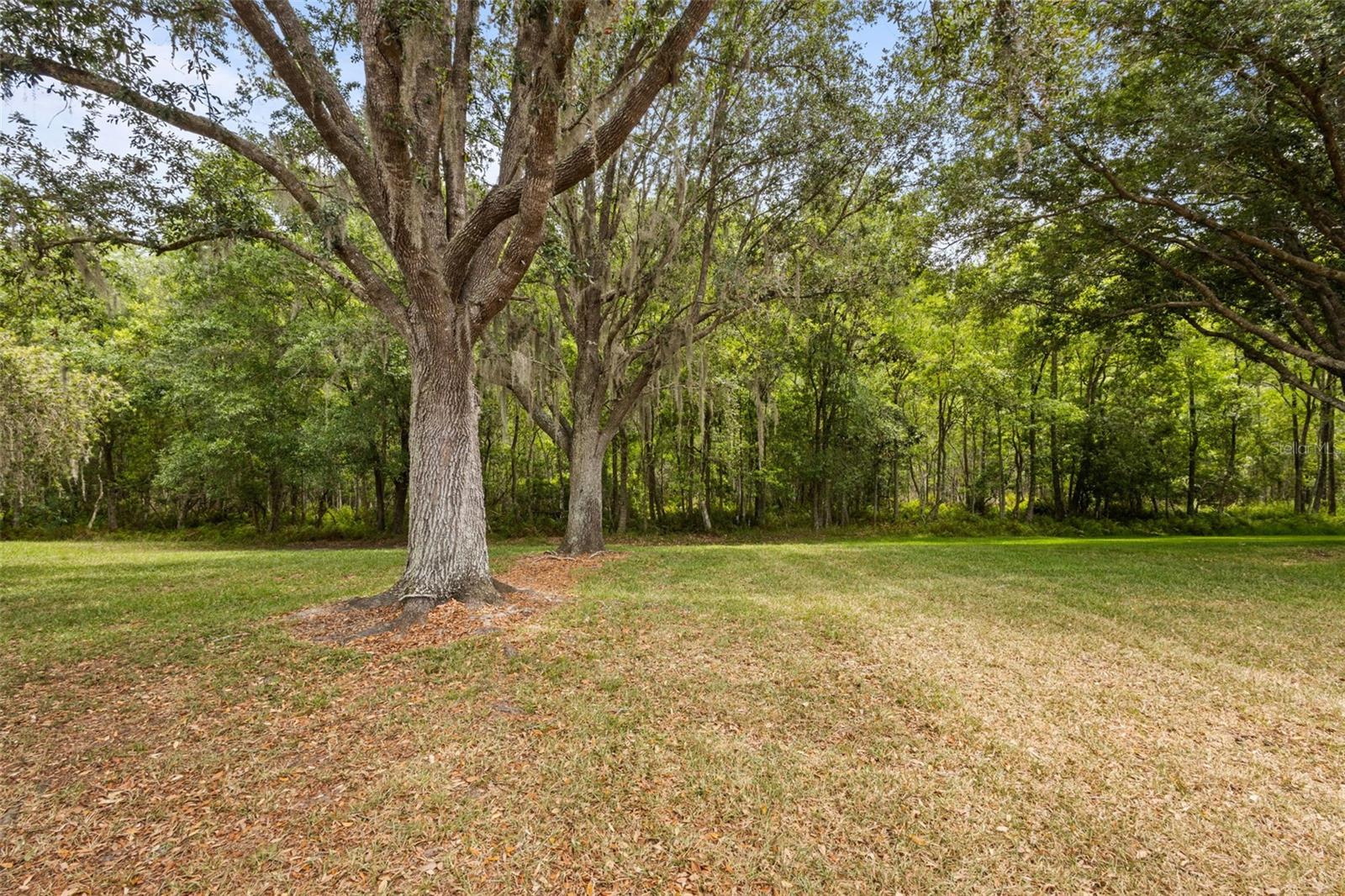 Listing photo id 20 for 18543 Bittern Avenue