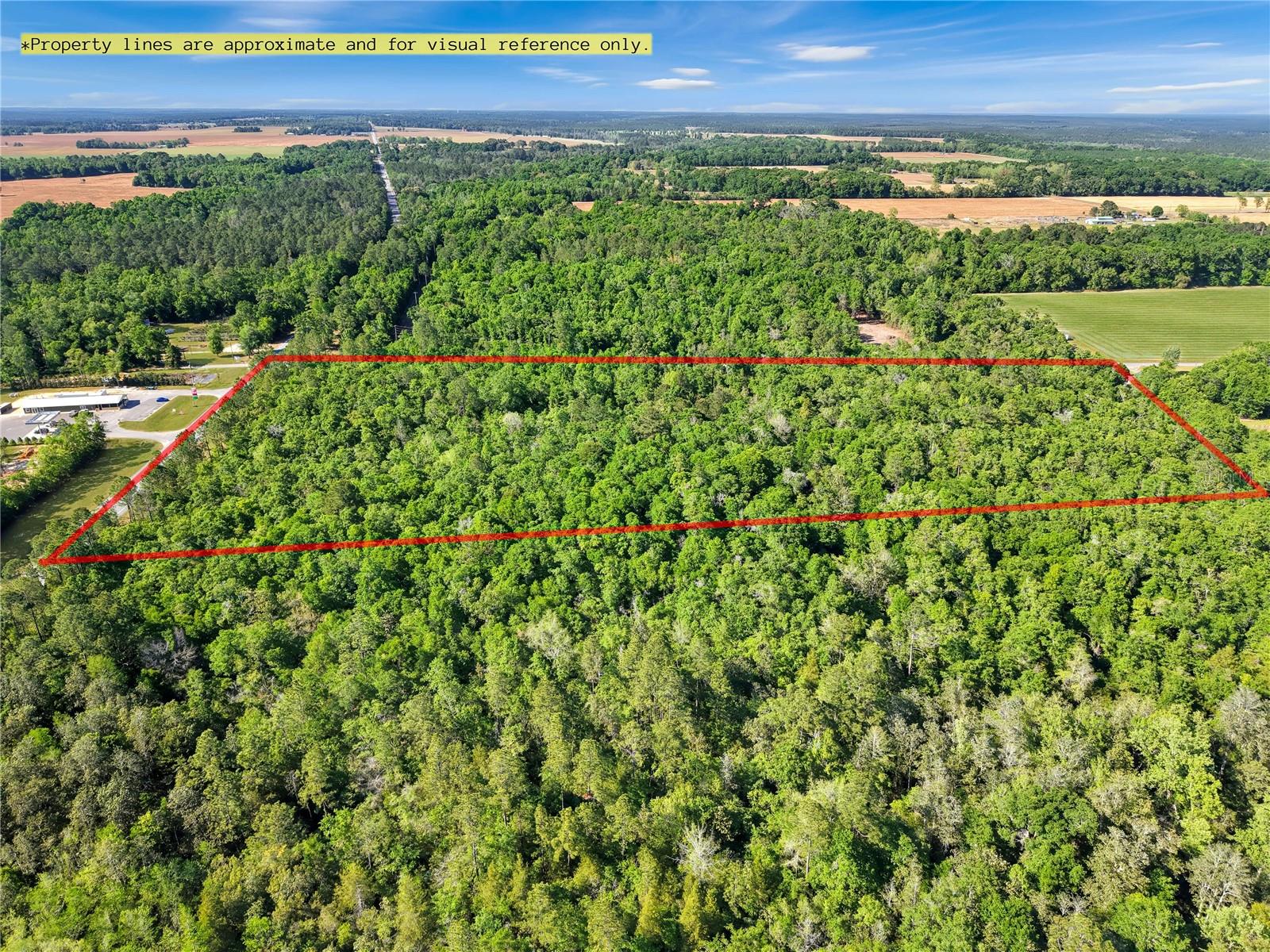 Image 3 of 10 For Neal Kennington-hwy 87 N