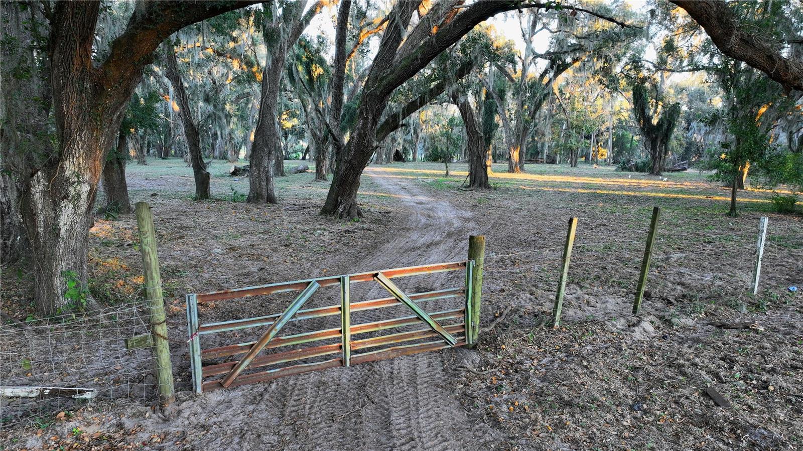 Image 12 of 15 For Muck Pond Road