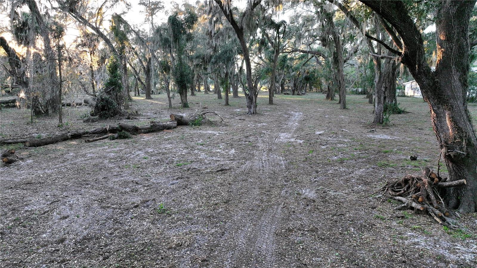 Image 3 of 15 For Muck Pond Road