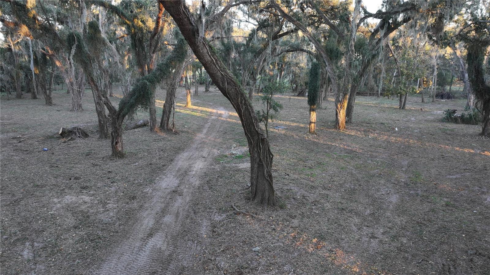 Image 4 of 15 For Muck Pond Road