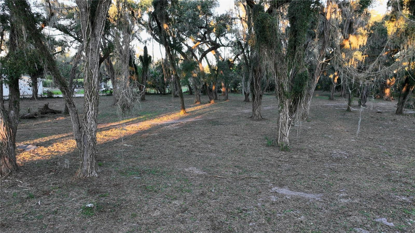 Image 5 of 15 For Muck Pond Road