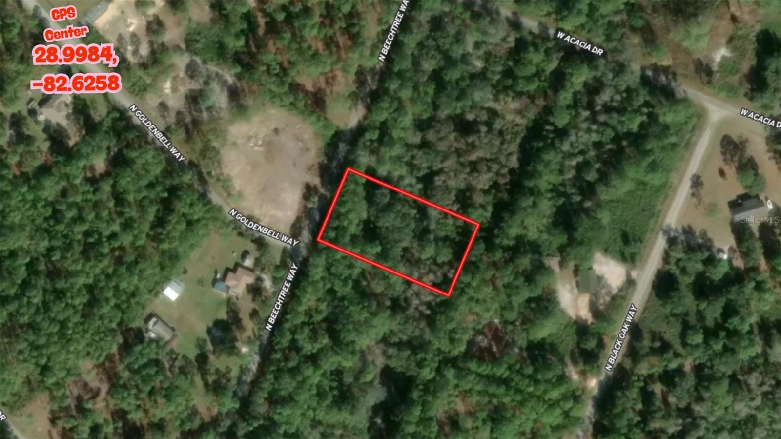 Image 12 of 26 For 9421 Beechtree Way