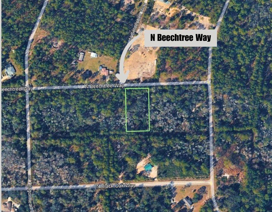 Image 13 of 26 For 9421 Beechtree Way