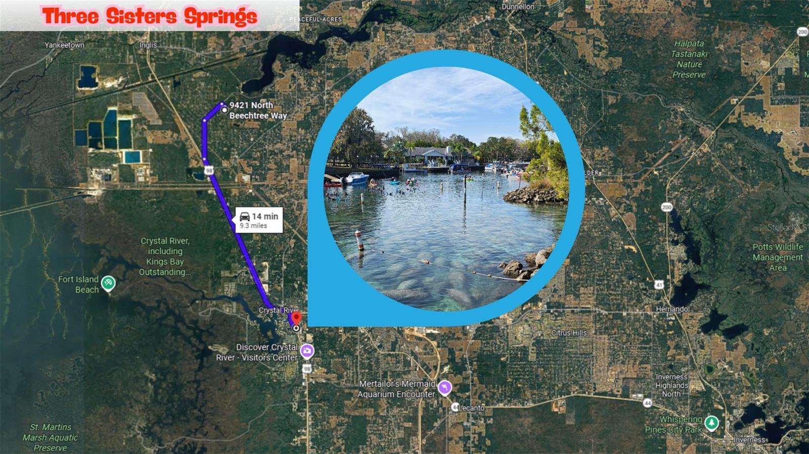 Image 4 of 26 For 9421 Beechtree Way