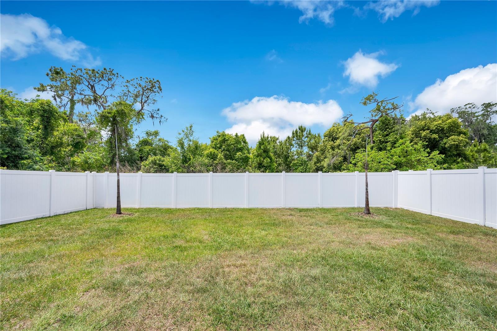 Image 32 of 42 For 2096 Golden Beak Drive