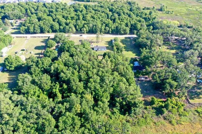 Image 5 of 13 For 31326 Tyndall Road