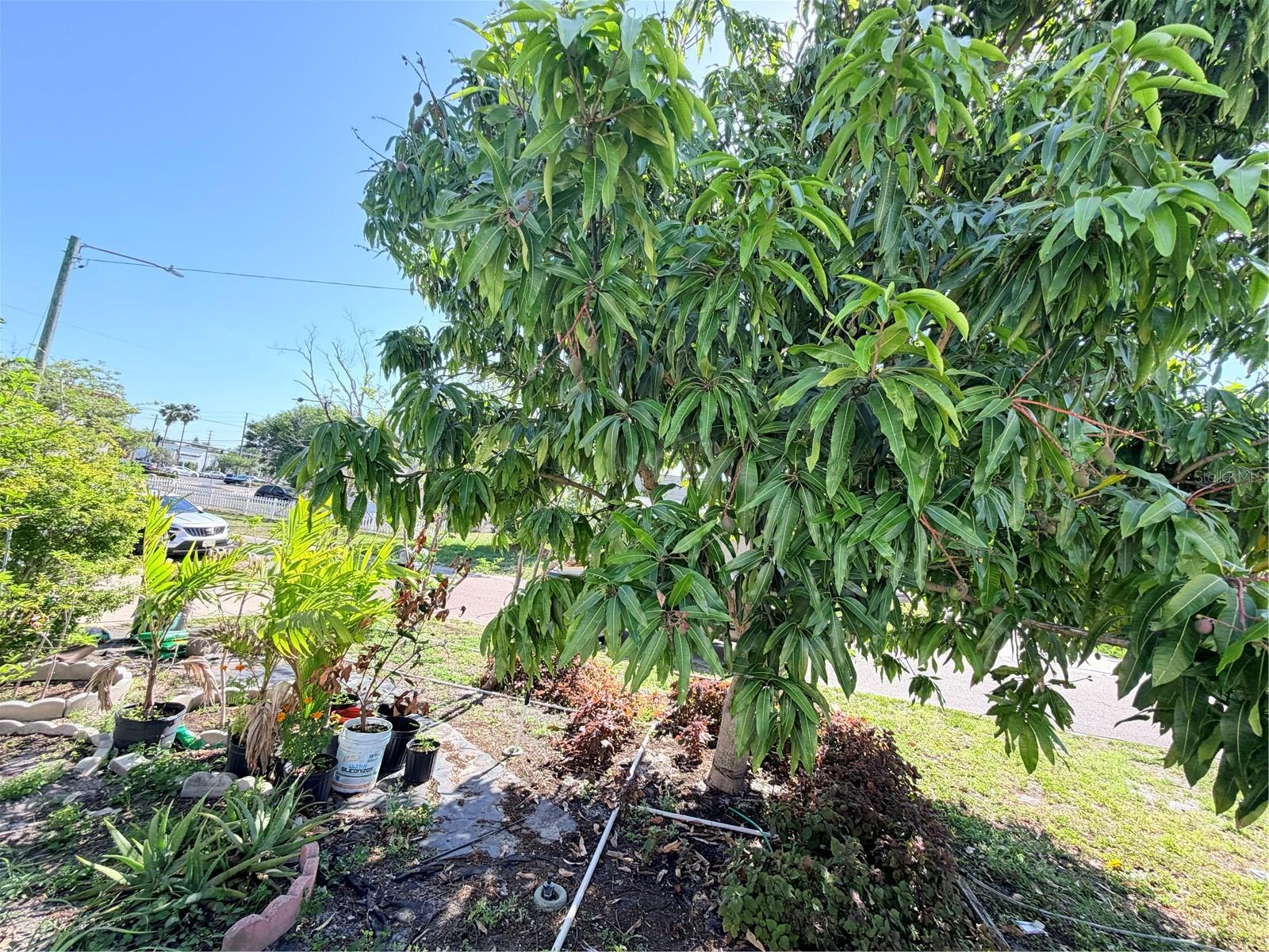 Image 43 of 45 For 1150 Oakwood Drive