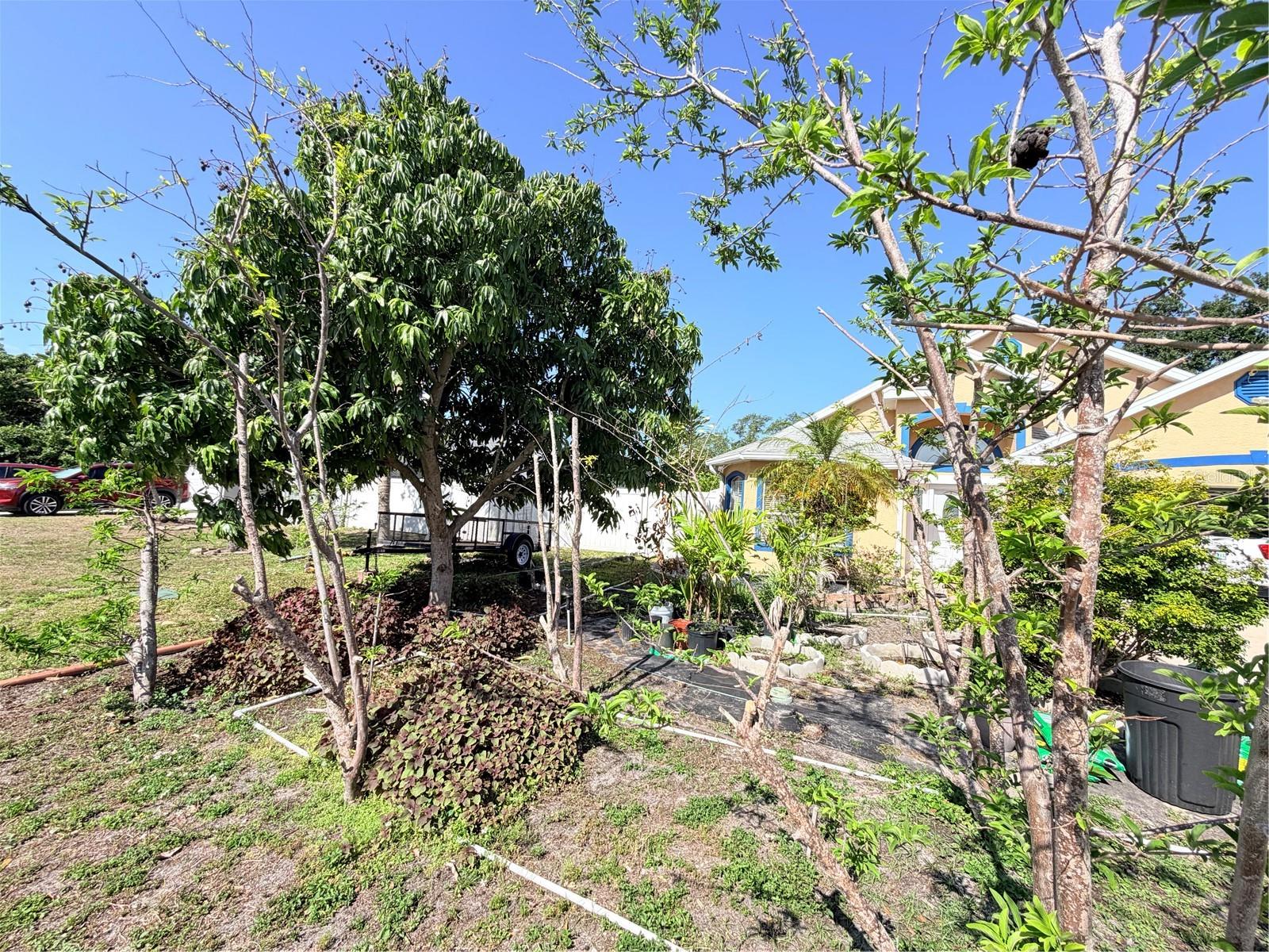 Image 45 of 45 For 1150 Oakwood Drive