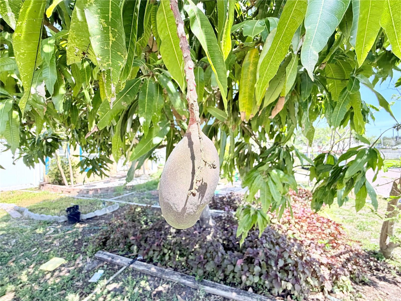 Image 5 of 45 For 1150 Oakwood Drive