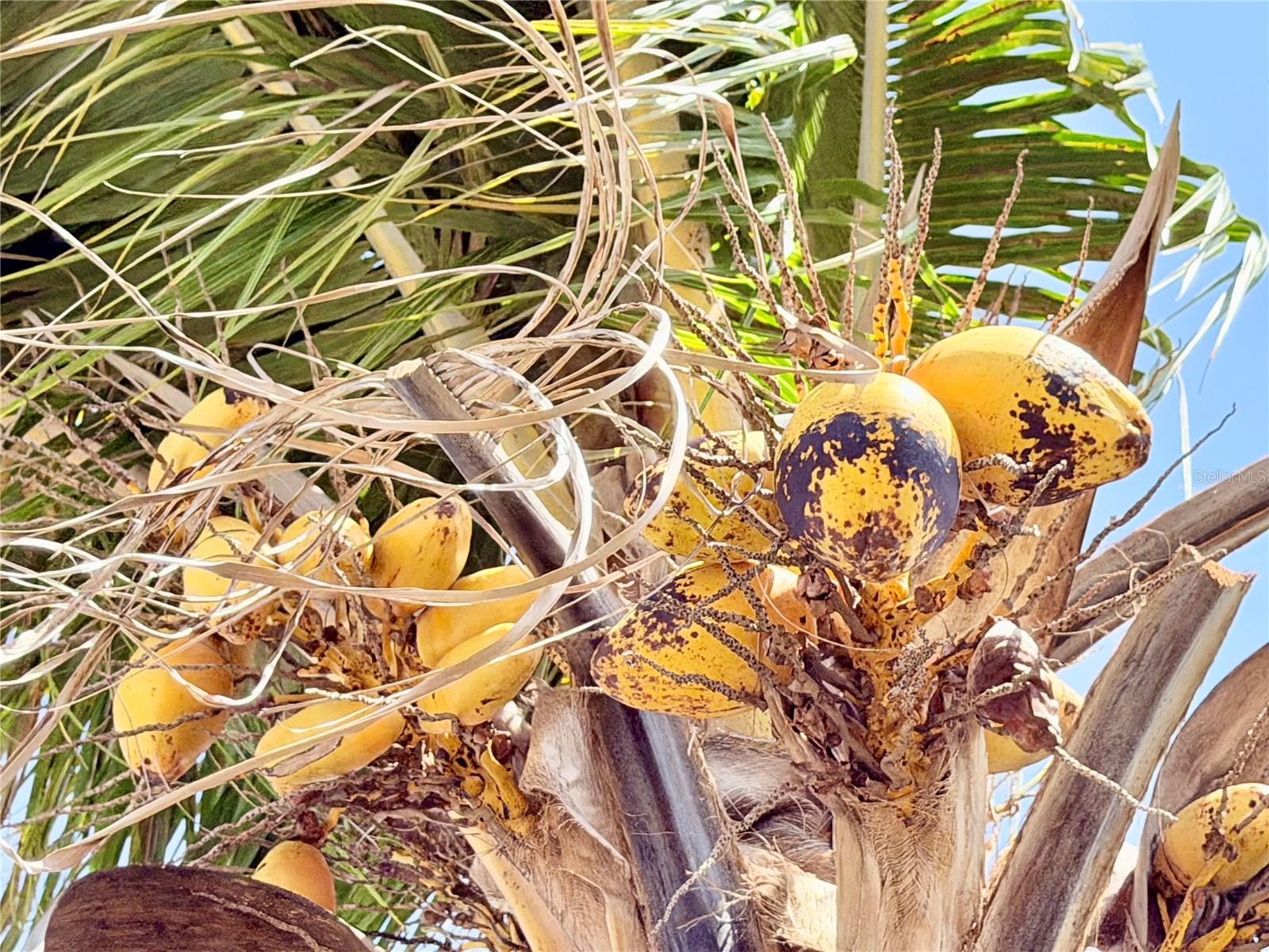 Image 7 of 45 For 1150 Oakwood Drive