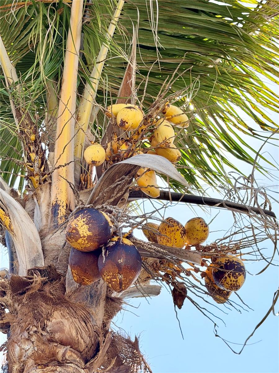 Image 8 of 45 For 1150 Oakwood Drive