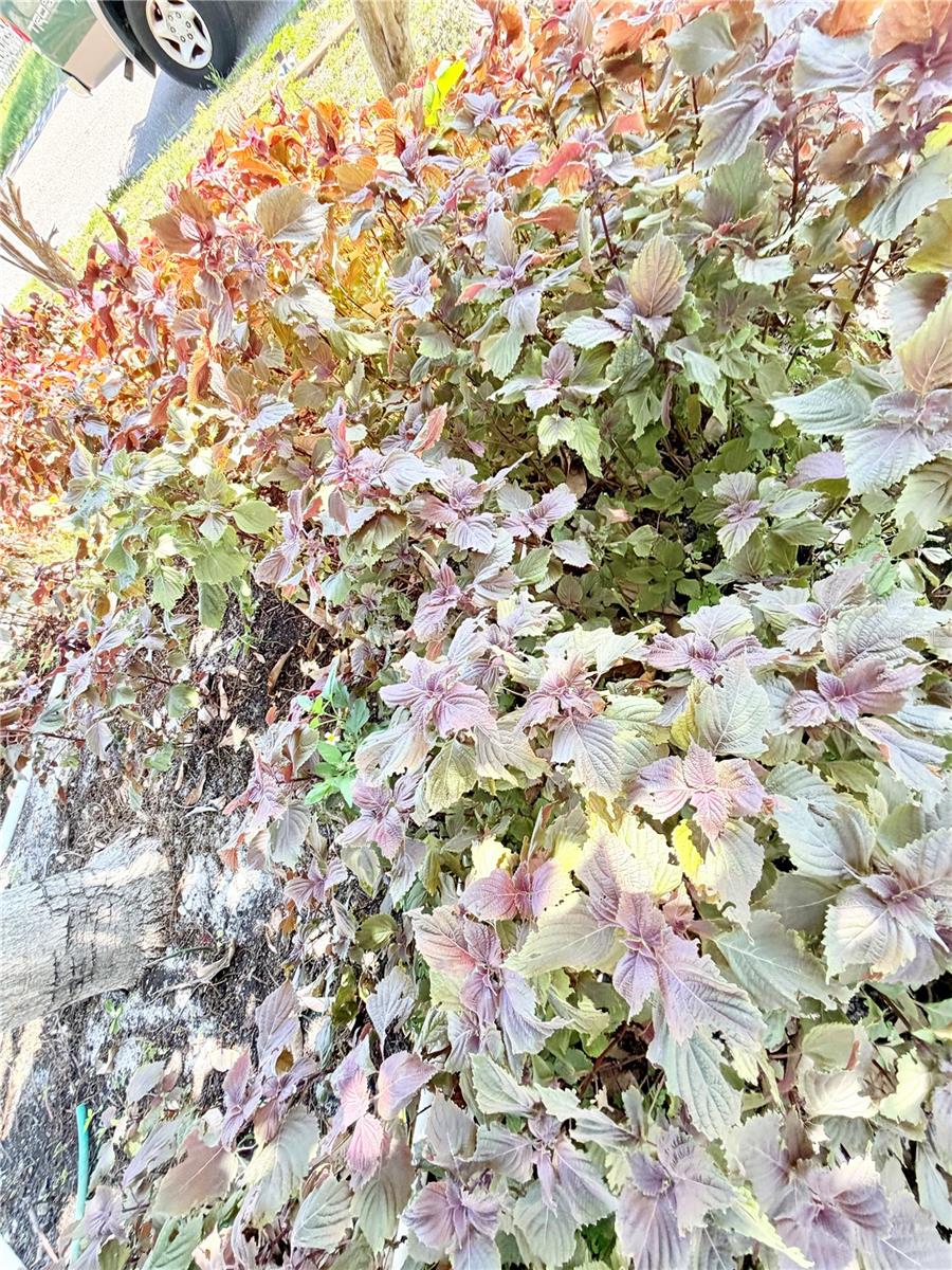 Image 9 of 45 For 1150 Oakwood Drive