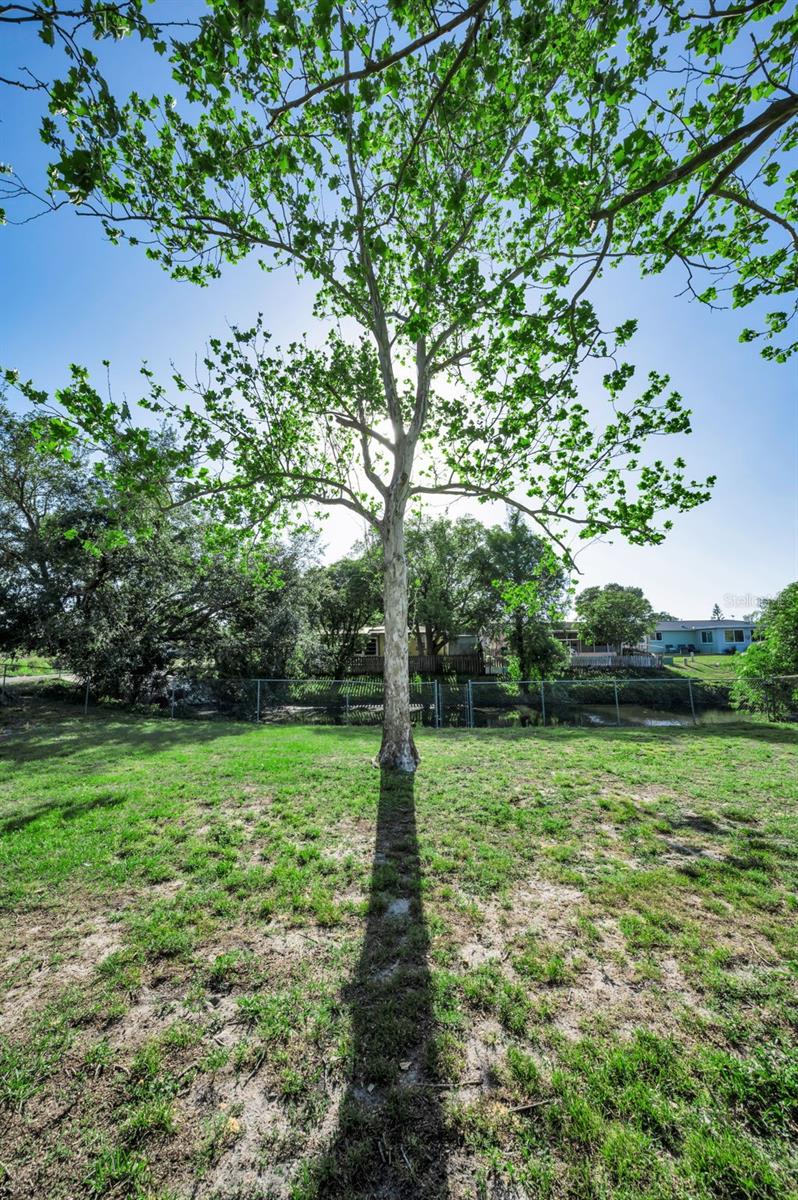 Listing photo id 18 for 3011 Shadow Oaks Drive