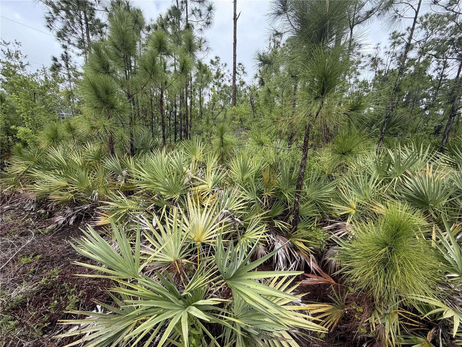 Image 4 of 4 For 5397 Bluestone Street