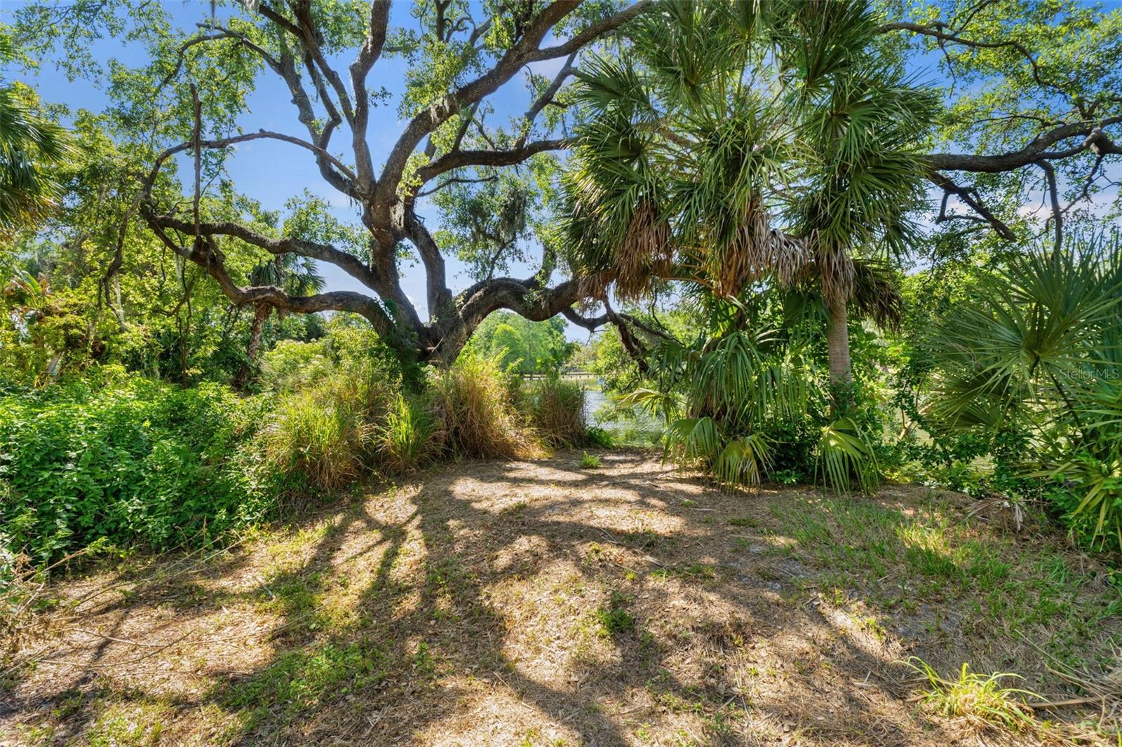 Image 5 of 15 For 323 Hanlon Street