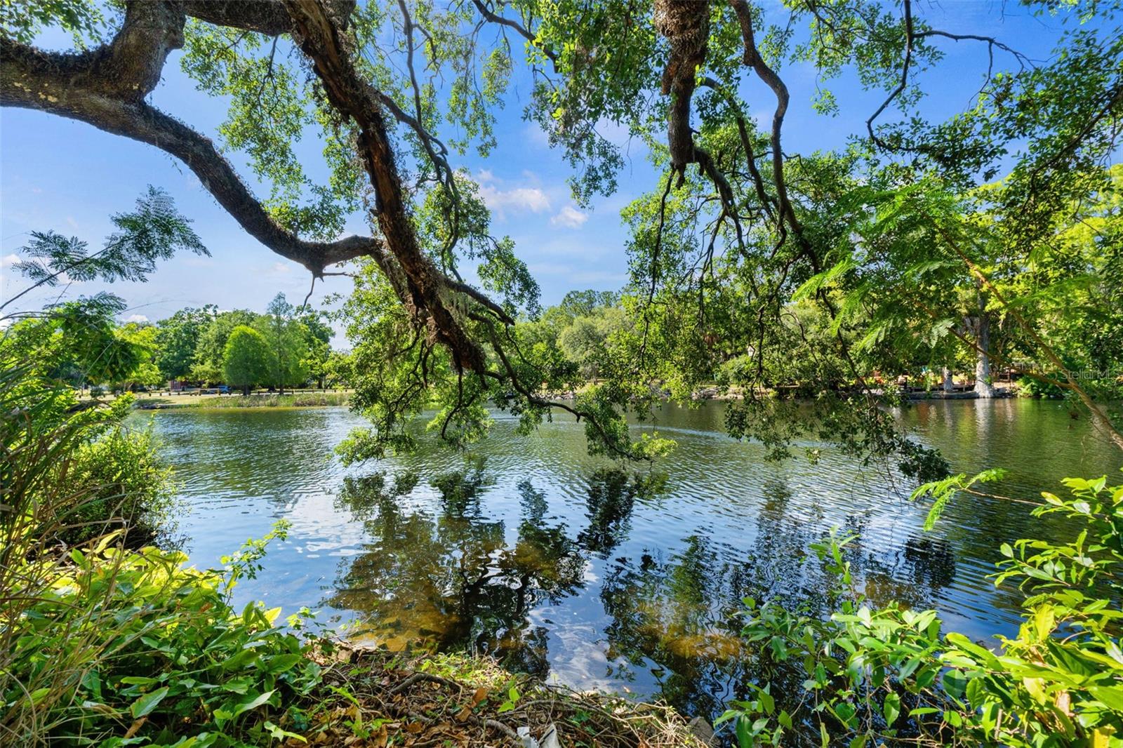 Image 6 of 15 For 323 Hanlon Street