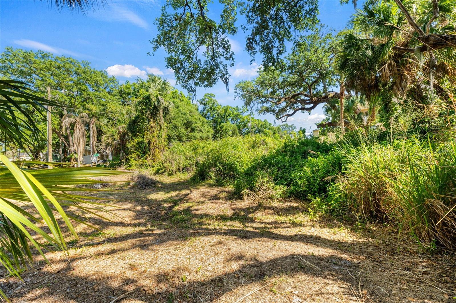 Image 9 of 15 For 323 Hanlon Street