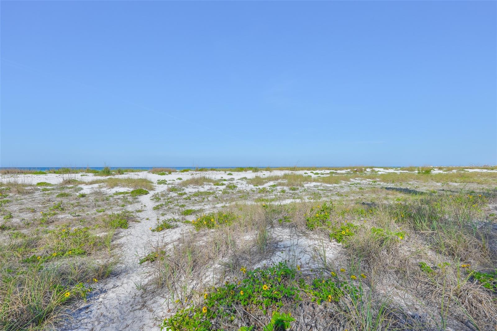 Image 28 of 41 For 10220 Gulf Boulevard 1