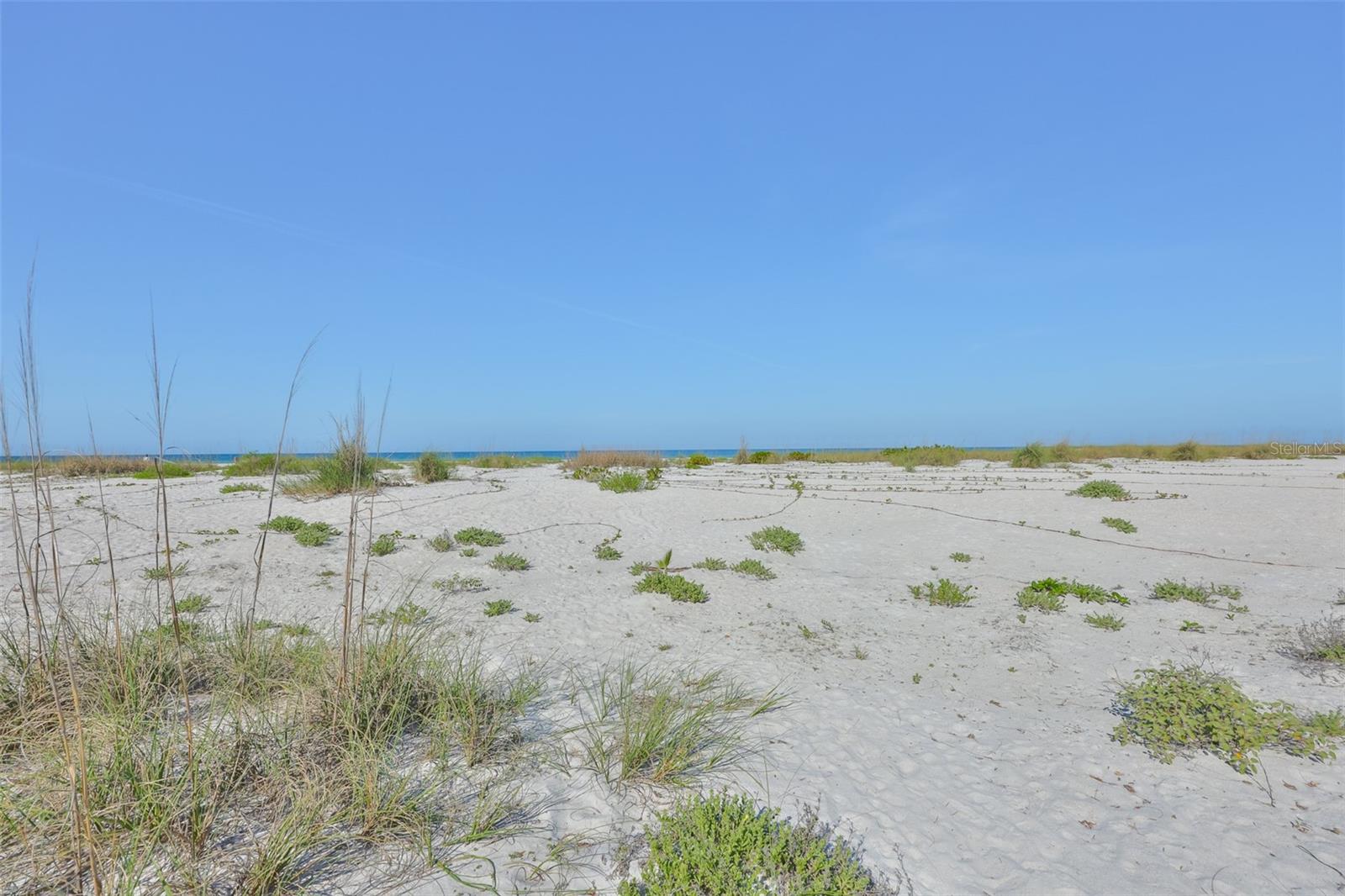 Image 29 of 41 For 10220 Gulf Boulevard 1