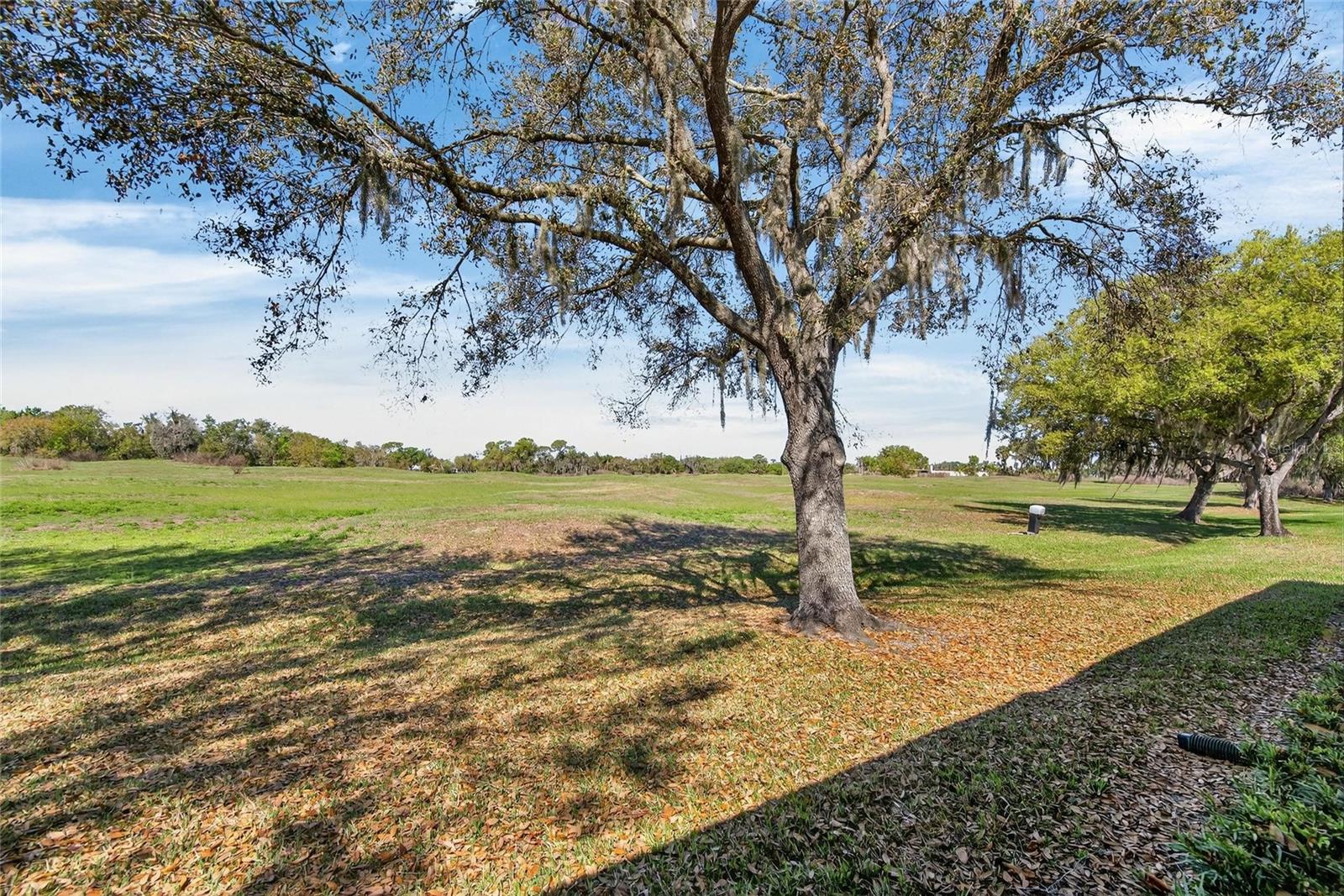 Image 38 of 64 For 2631 Eagle Greens Drive 16