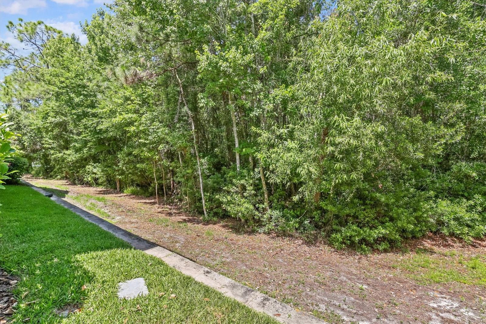 Listing photo id 26 for 14637 Mirabelle Vista Circle