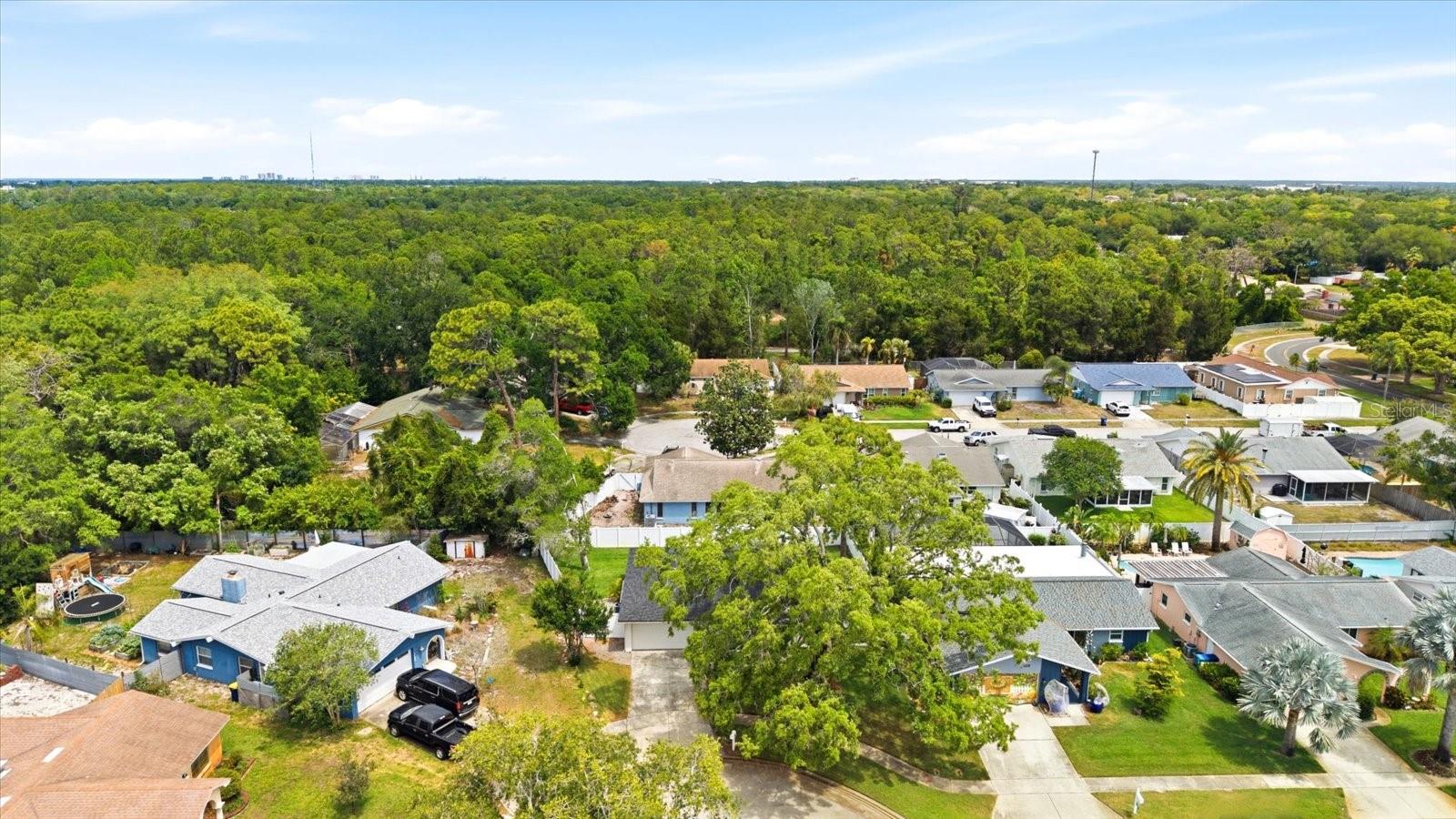 Image 36 of 45 For 12021 107th Court