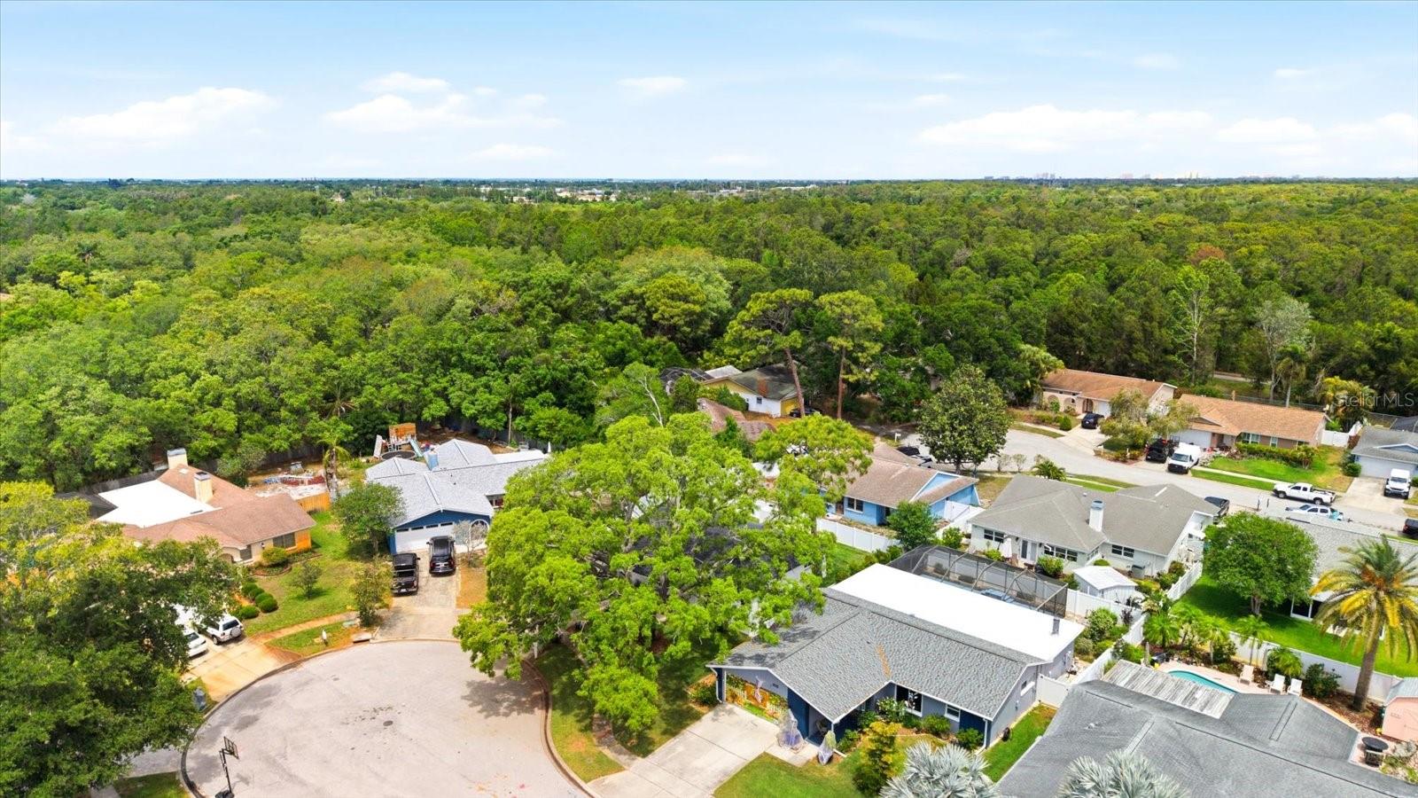 Image 38 of 45 For 12021 107th Court