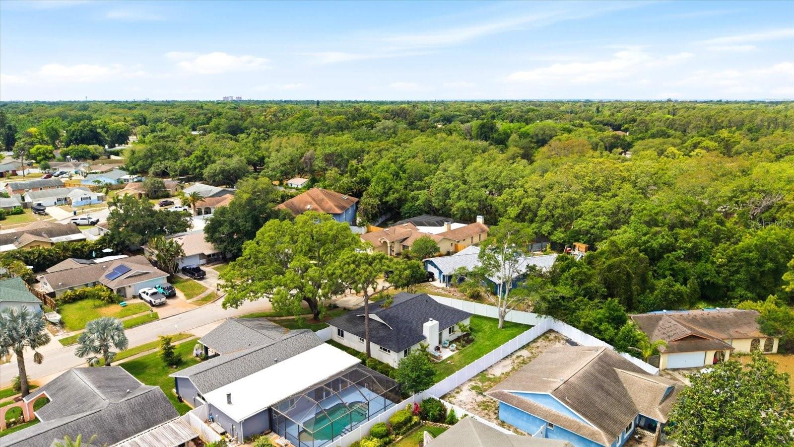 Image 39 of 45 For 12021 107th Court