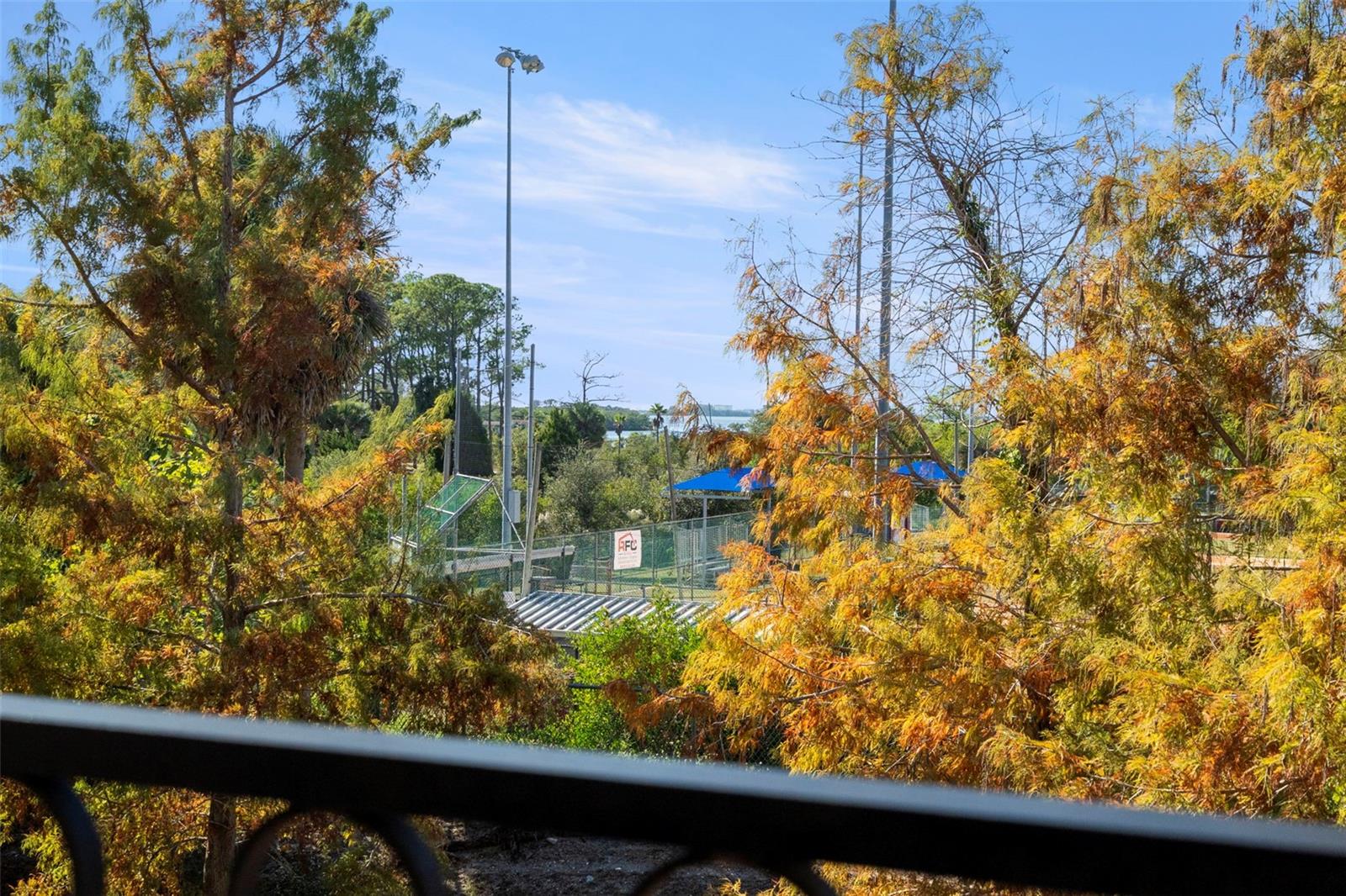 Image 31 of 37 For 1342 Ribolla Drive