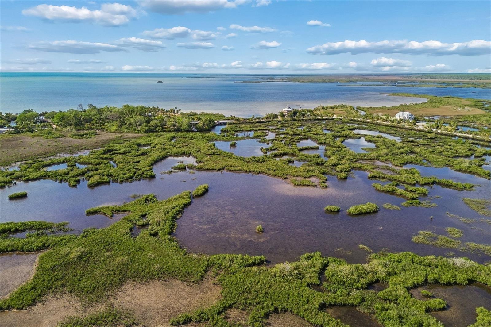 Listing photo id 12 for 10501 Pine Island Drive