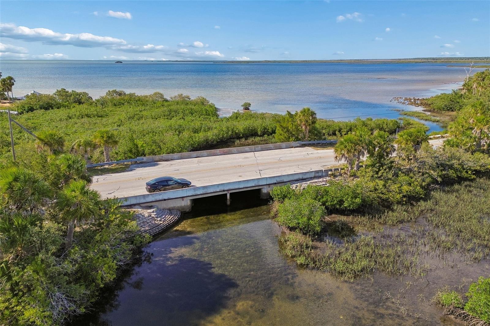 Listing photo id 28 for 10501 Pine Island Drive
