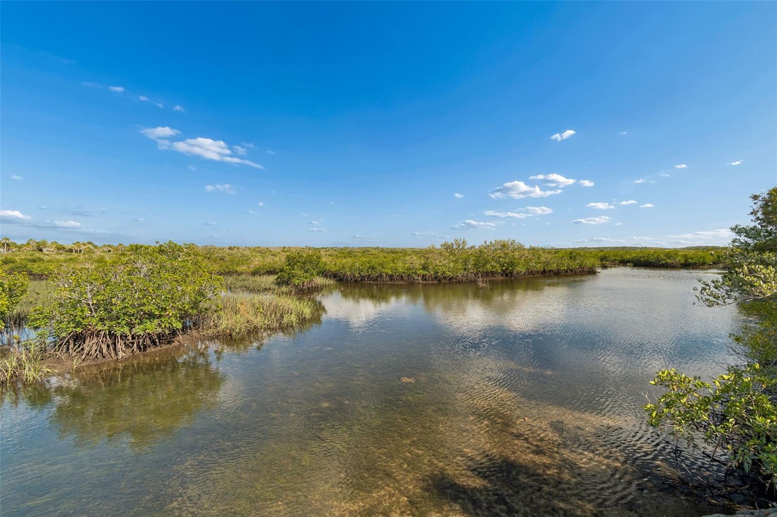Listing photo id 43 for 10501 Pine Island Drive