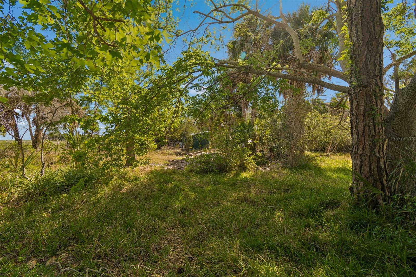 Listing photo id 50 for 10501 Pine Island Drive