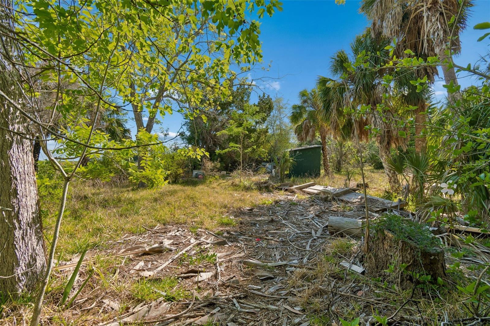 Listing photo id 52 for 10501 Pine Island Drive