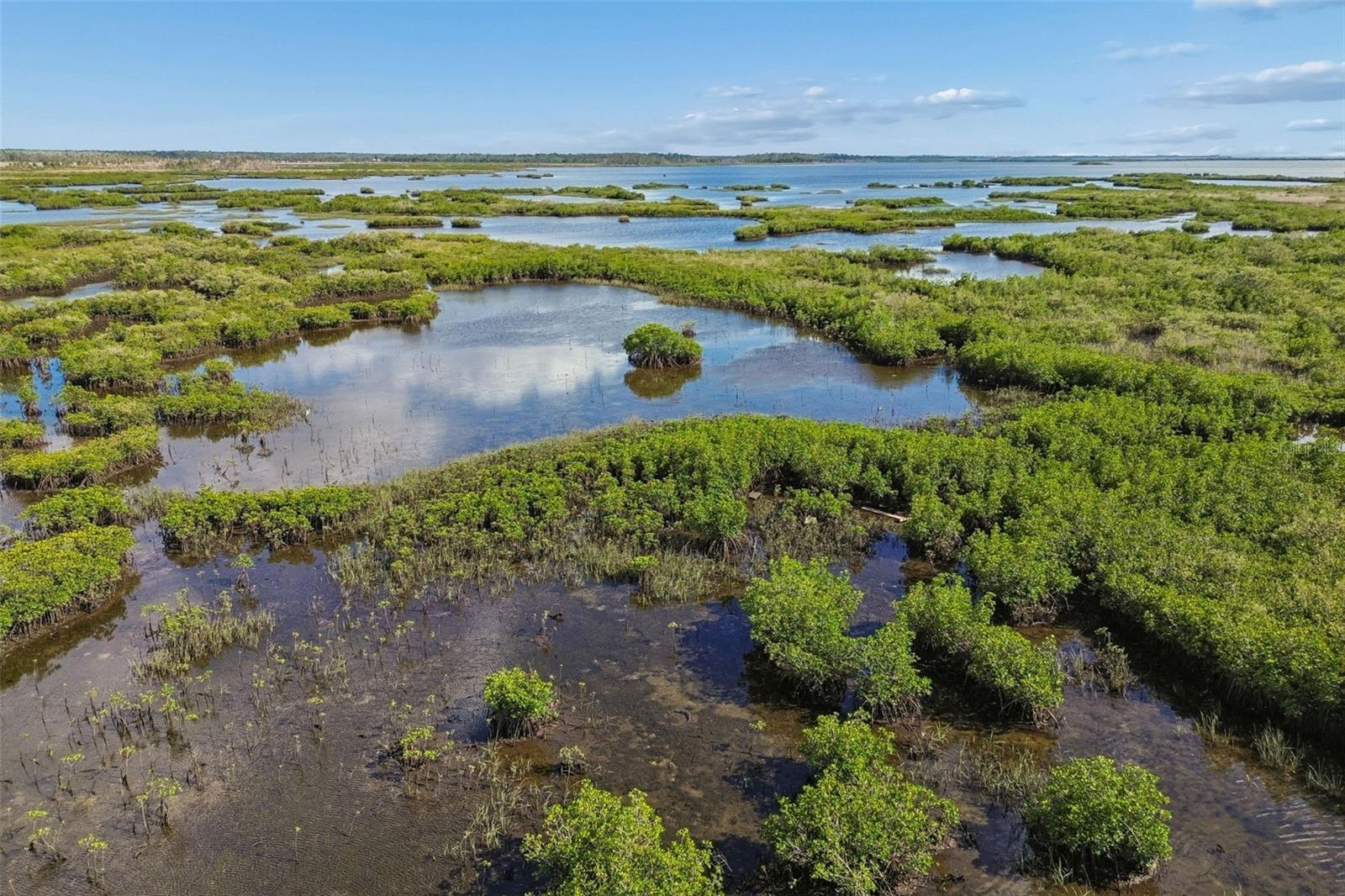 Listing photo id 6 for 10501 Pine Island Drive