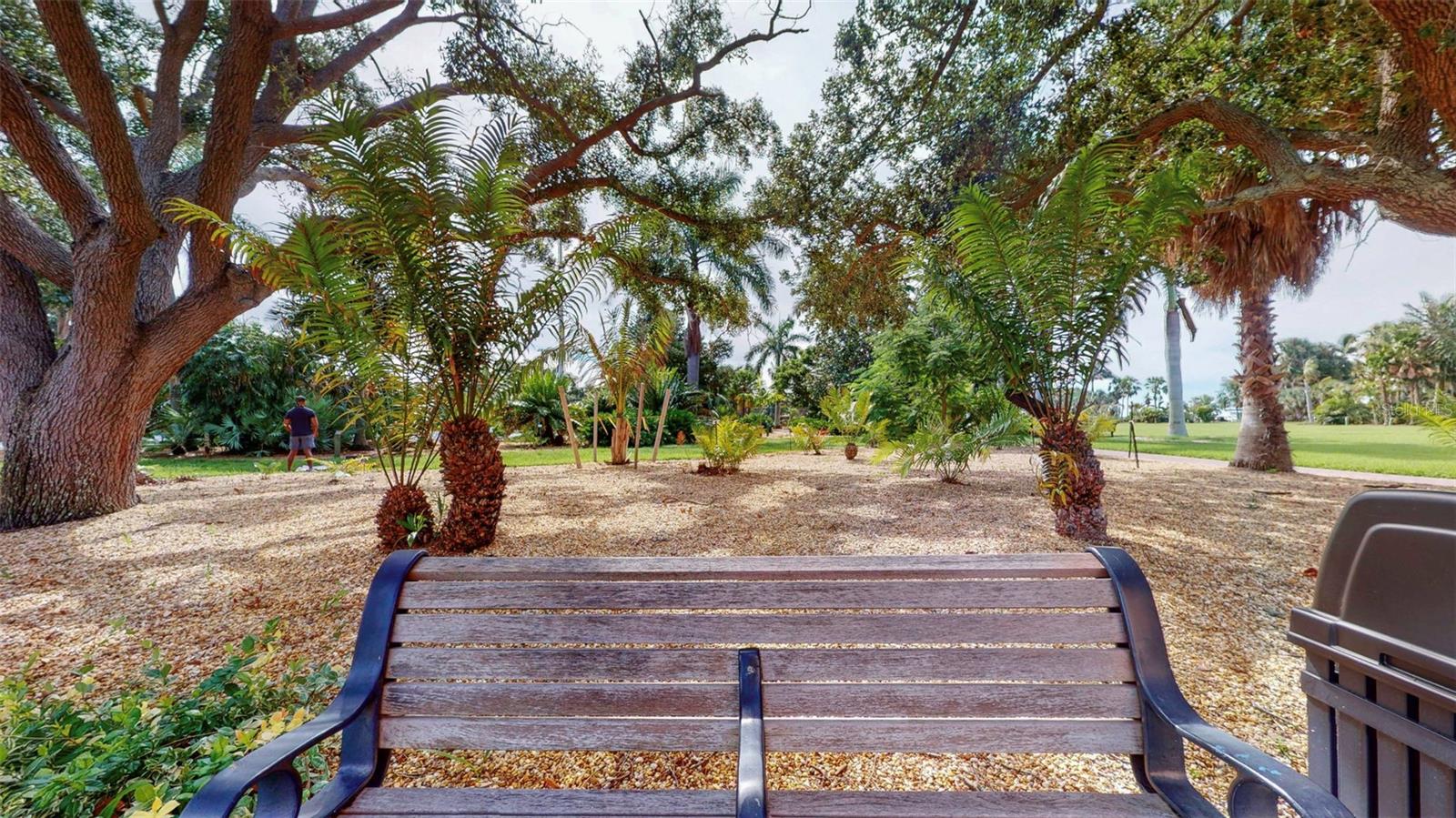 Image 70 of 75 For 1120 Shore Drive Ne 501