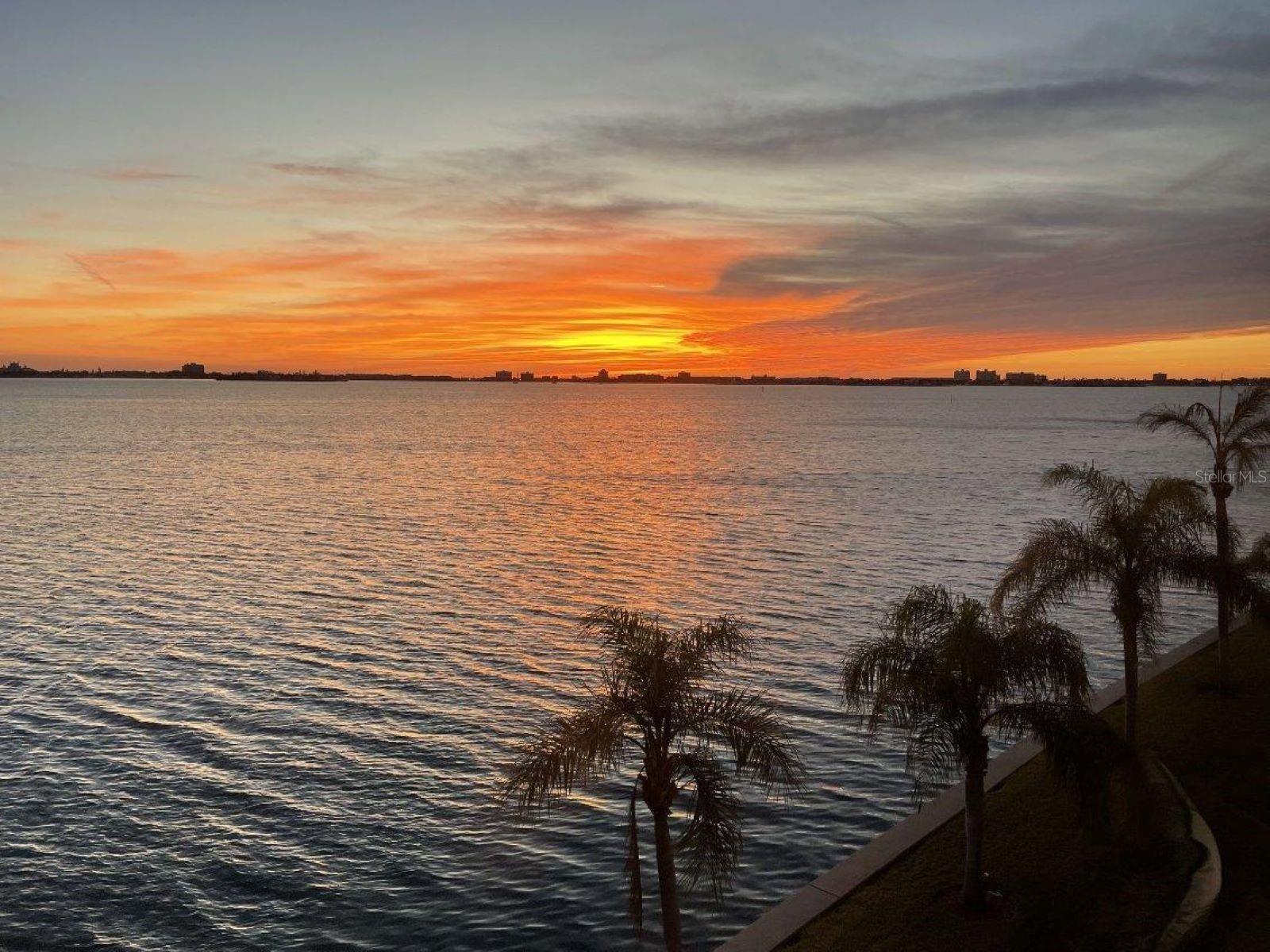 Details for 5900 Shore Boulevard S 402, GULFPORT, FL 33707