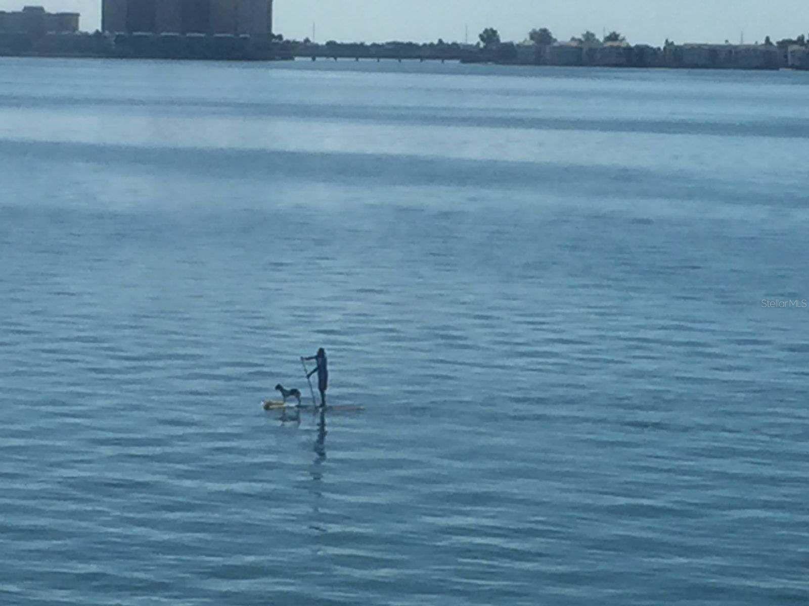 Image 33 of 38 For 5900 Shore Boulevard S 402