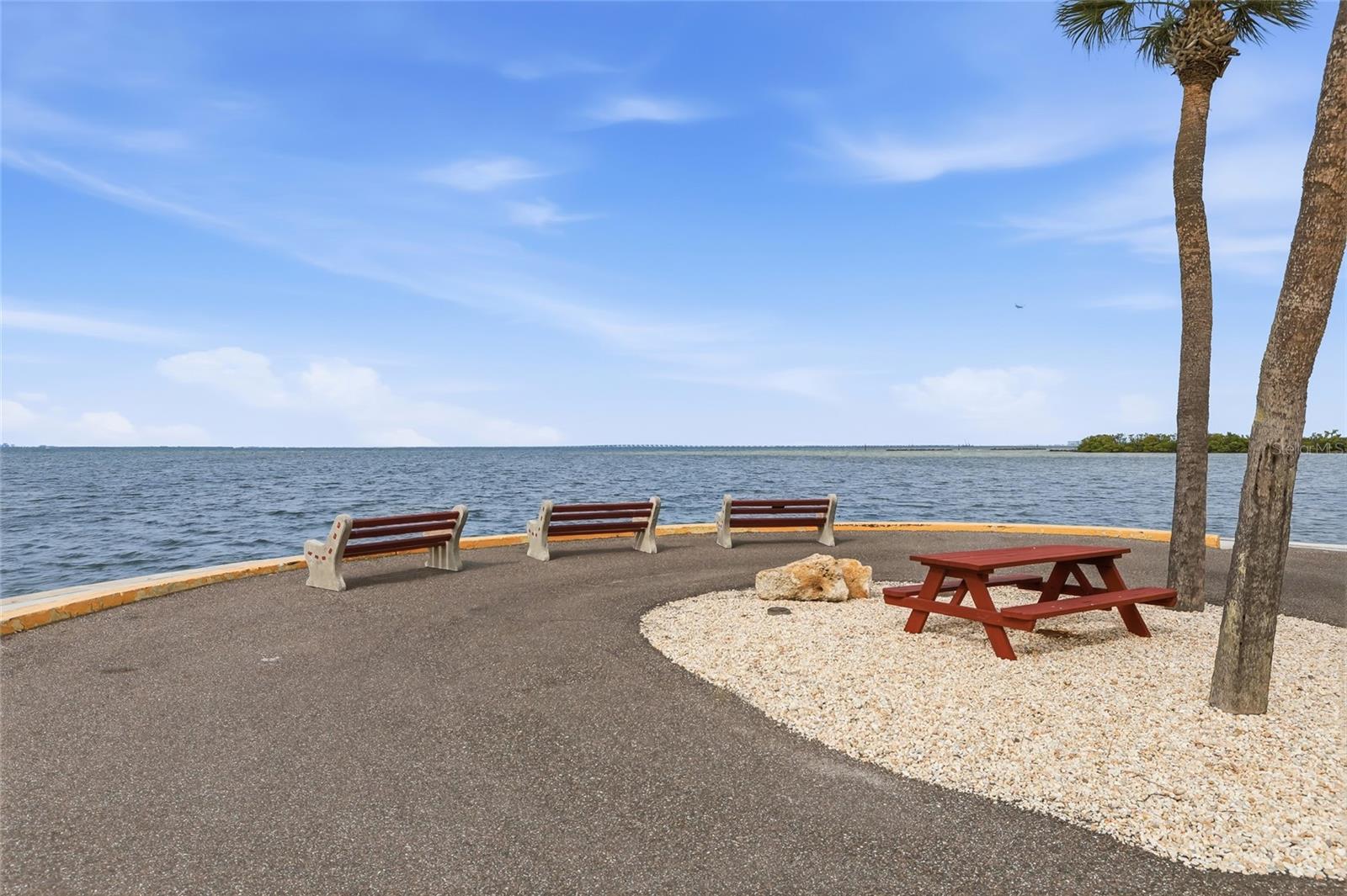 Image 45 of 65 For 4851 Gandy Boulevard B7l17