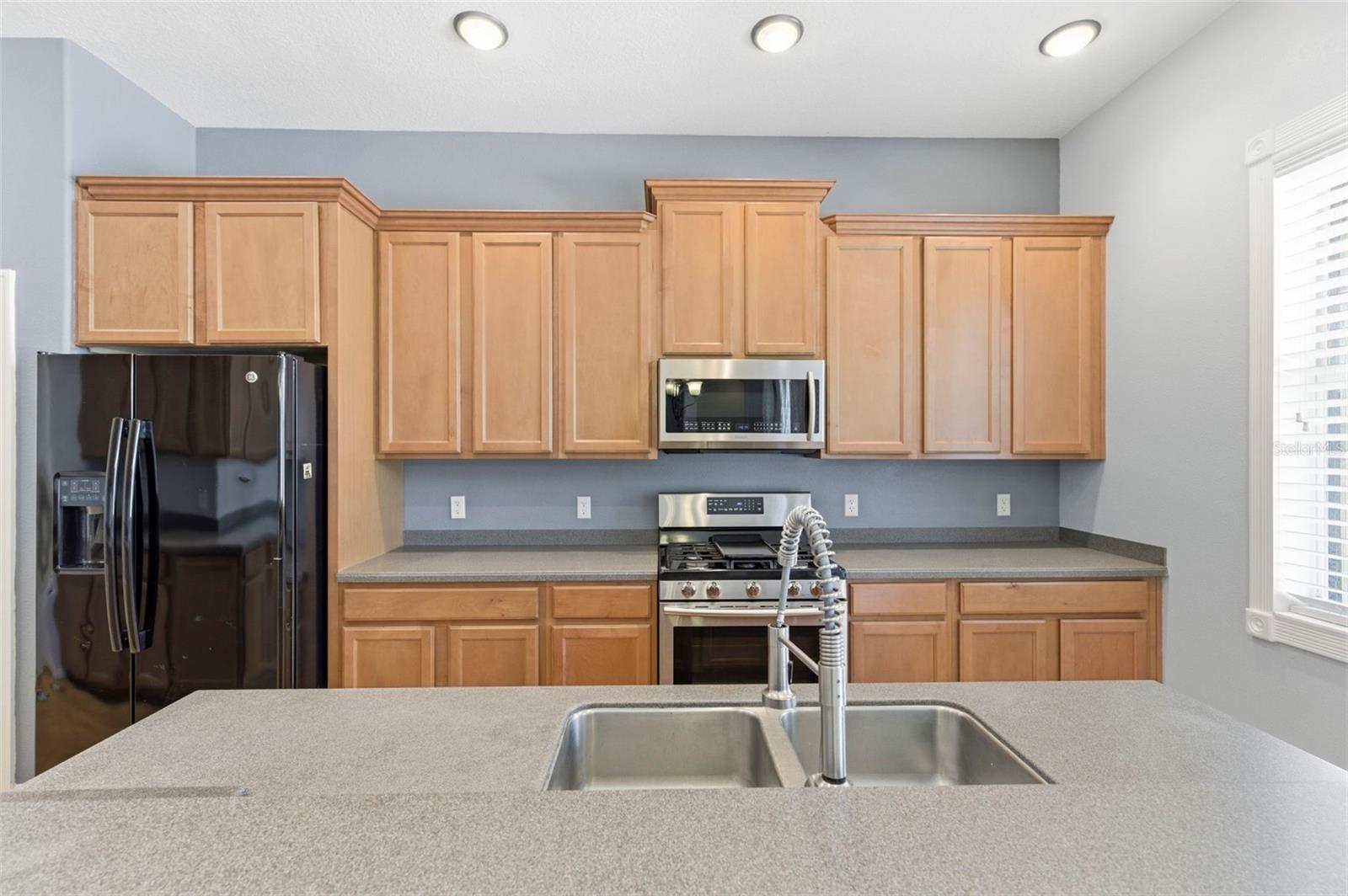 Listing photo id 22 for 20629 Wild Plum Court