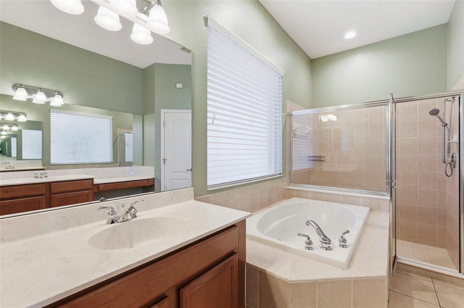 Listing photo id 28 for 20629 Wild Plum Court