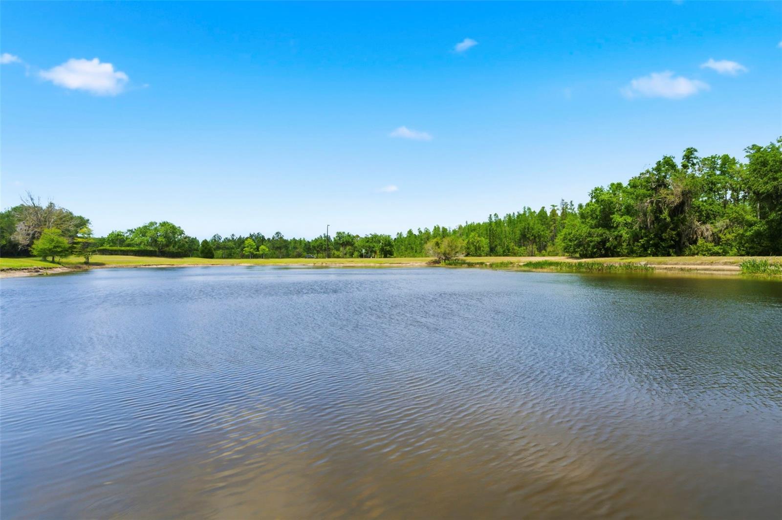 Listing photo id 69 for 20629 Wild Plum Court