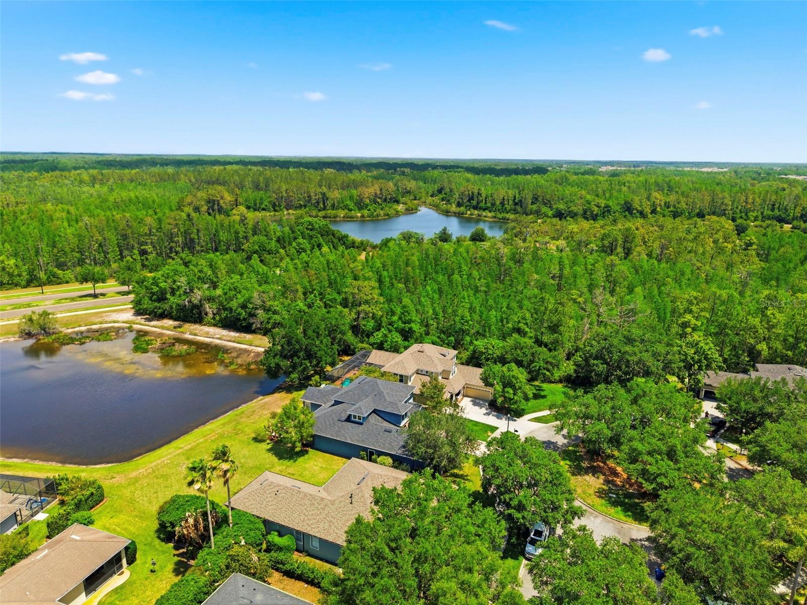 Listing photo id 76 for 20629 Wild Plum Court