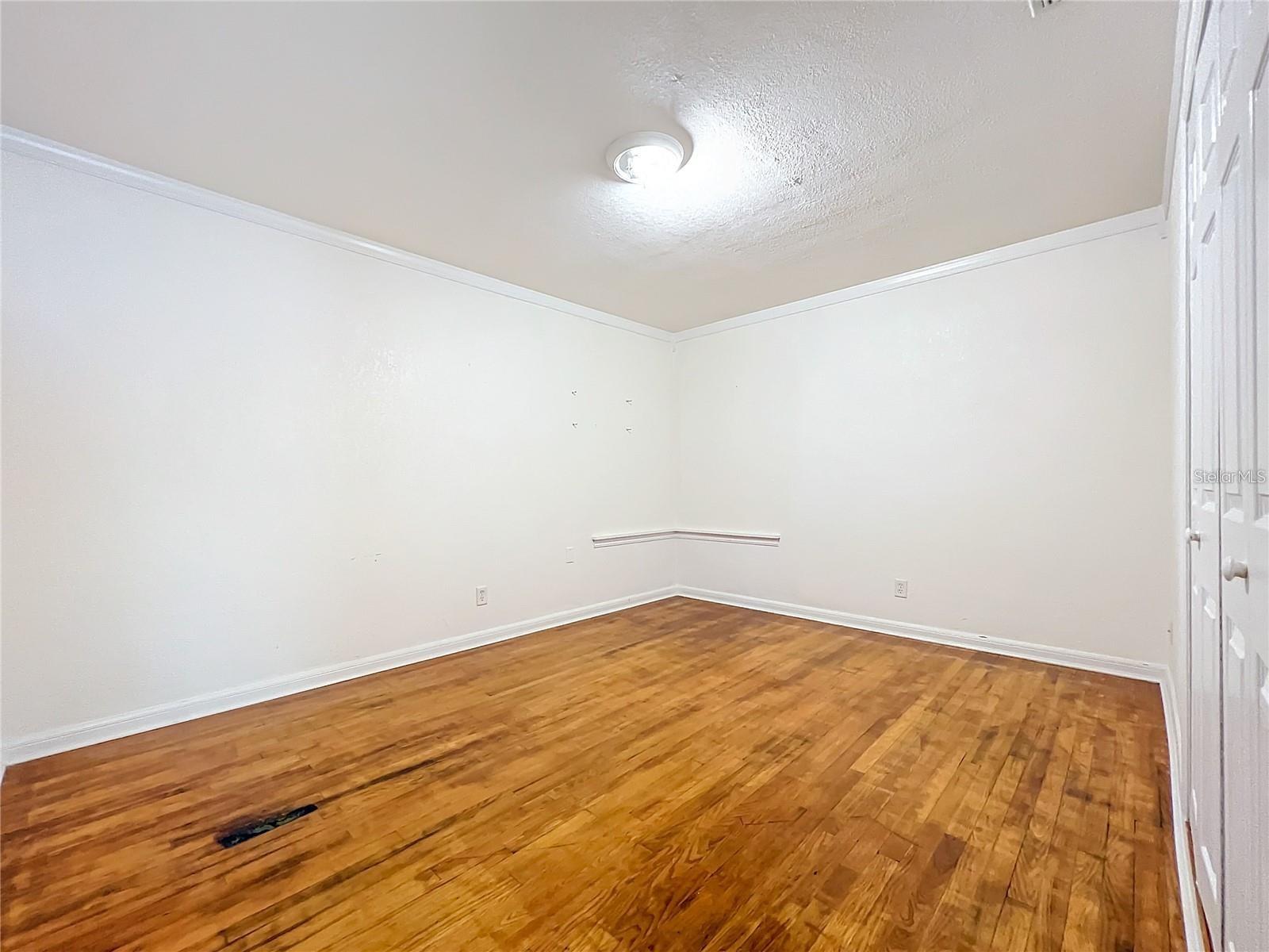 Image 51 of 96 For 25 Chesley Avenue