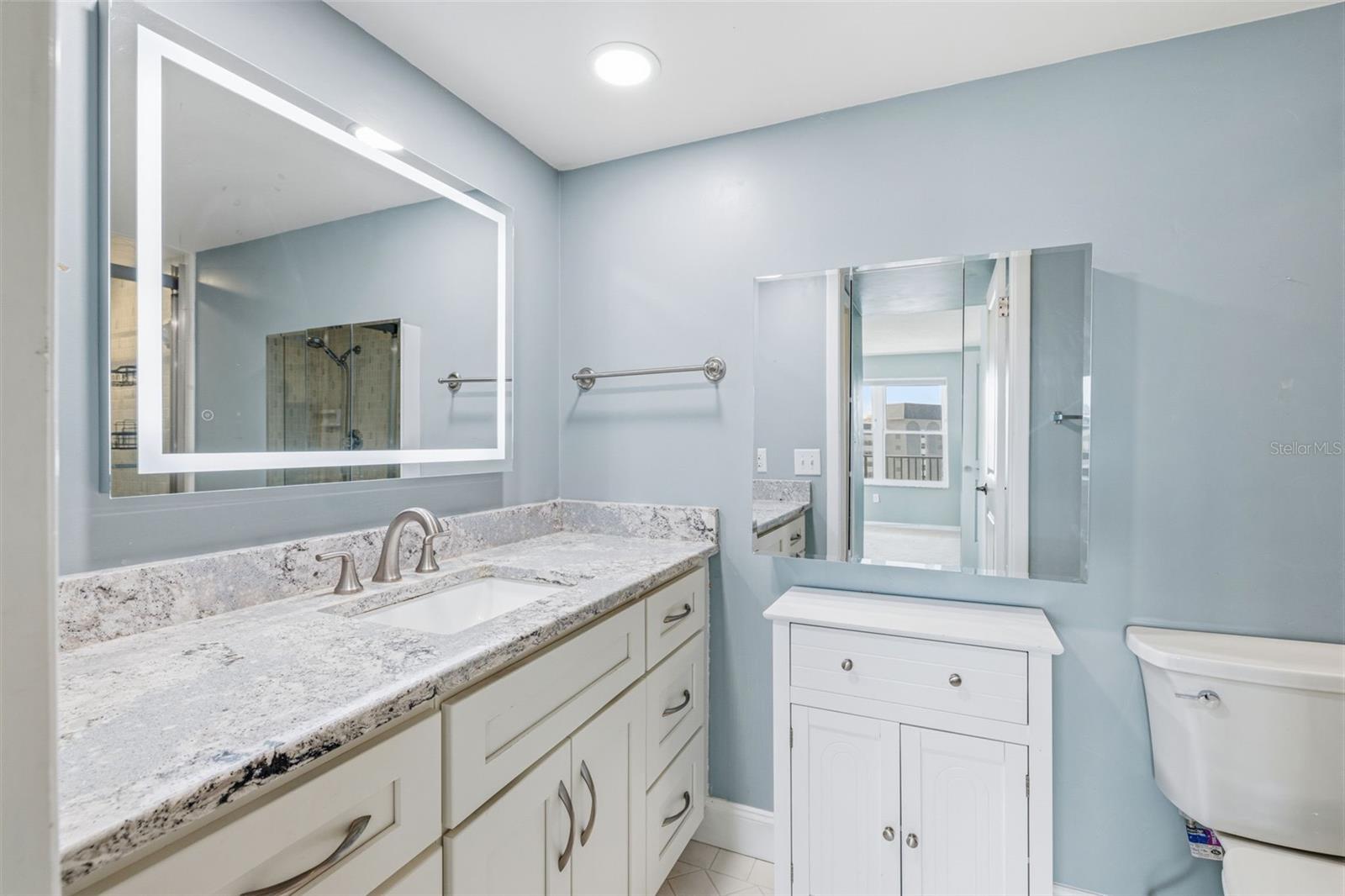 Image 20 of 44 For 5220 Brittany Dr S  901