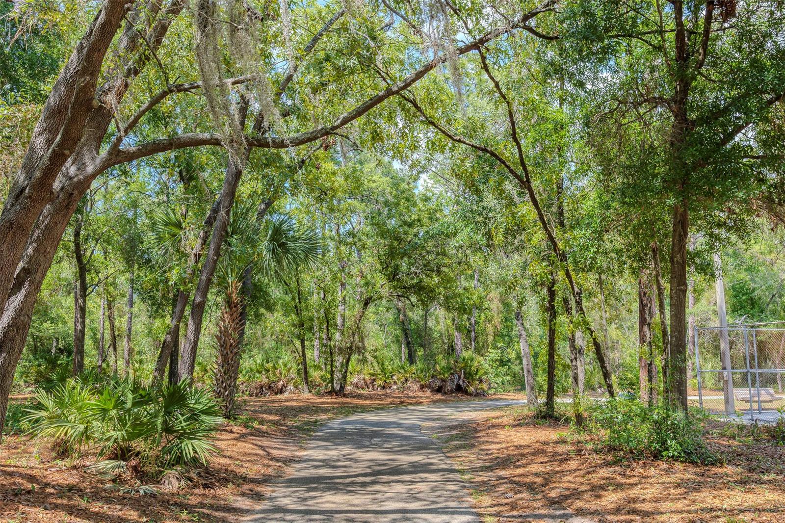 Image 32 of 32 For 10904 15th Street