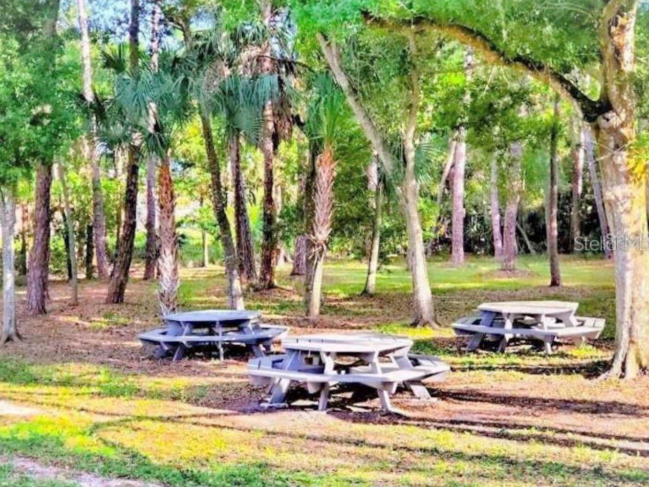 Image 22 of 23 For 1400 Gandy Boulevard N 703