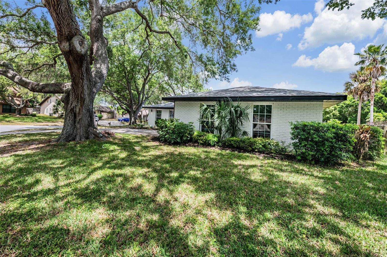 Listing photo id 49 for 848 Hillside Drive